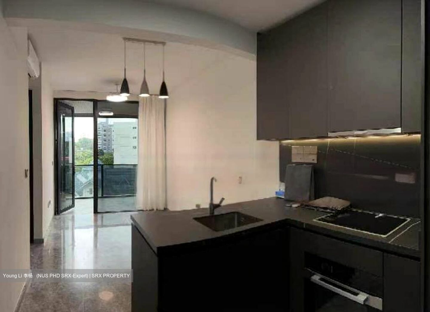 Hyll On Holland (D10), Condominium #467788051
